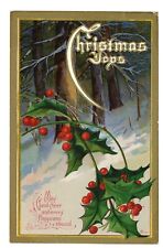 Antique Postcard 1913 Christmas Greetings Snow Holly Berries Trees DB Posted picture