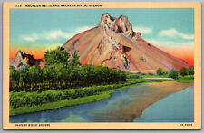 Malheur Butte & Malheur River Oregon Nature Scene Andrews Linen Postcard picture