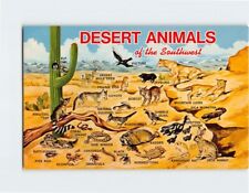 Postcard Desert Animals of the Southwest USA picture