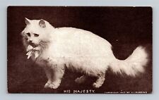 His Majesty - White Cat With Bow Collar c.1907 Postcard  picture