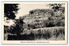 c1940s Field Museum Of Natural History Rock-Shelter Chicago Illinois IL Postcard picture