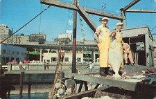 Postcard Fishing Boats Seattle Fishermen with Halibut 1958 Vintage Old Cars 305 picture