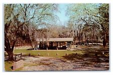 Postcard Camping Area, Fort Clinch State Park near Fernandina Beach FL 1980 D125 picture