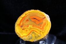 Orange Float in Fighting Blood Agate, Hebei Province, China picture