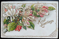 Vintage Victorian Postcard 1910 Kind Greetings - Spray of Embossed Pink Flowers picture