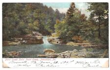 Johnstown Pennsylvania c1905 Point Creek Falls, Point Creek, vintage undivided picture