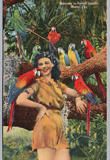 Miami, FL Postcard Macaws Parrot Jungle Vintage Linen Beautiful Lady Women birds picture