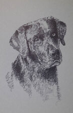 BLACK LABRADOR RETRIEVER DOG ART PORTRAIT #73 Kline adds dogs name free. LAB picture