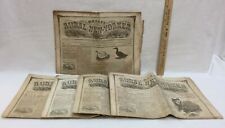 Moores Rural New Yorker Newspaper 1859 Lot of 5 Editions Antique Collectible picture