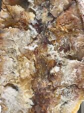 Graveyard Point Plume Agate /Unusual/Interesting/ Stands Out Among Others picture
