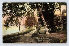 Postcard New York Chautauqua NY North Shore Birch Tree Pre-1907 Unposted picture