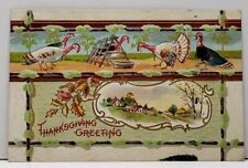 Thanksgiving Turkeys Feeding and Country Scene Embossed 1910 Postcard F12 picture