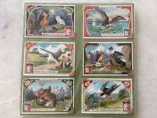 LIEBIG TRADE CARDS, BIRDS OF PREY 1906 Set of 6 Cards (S872 French). picture