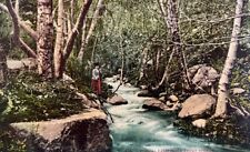 Woman Standing By Typical Trout Stream 1909 California CA Postcard picture