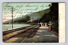 Williamsport PA-Pennsylvania, Sylvan Well, Antique, Vintage c1917 Postcard picture