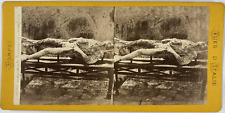 Sommer, Stereo, Italy, Pompeii, Human Footprint, A Slave Vintage Stereo Car picture
