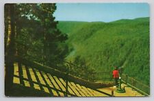 South View Of Pennsylvania's Grand Canyon Postcard 3021 picture