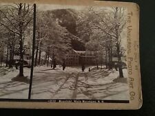 1890’s Stereoview Real Photo Graves Moonlight White Mountains NH New Hampshire picture