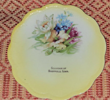 vtg SHEFFIELD, Iowa IA SOUVENIR Plate SHIPPING INCLUDED picture