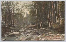 Postcard Wandland Brook Ardmore Pennsylvania ca.1909 picture