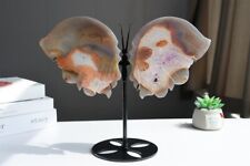 1.78LB Natural Geode Agate Butterfly Skull Quartz Cystal Skull Statue + Stand picture