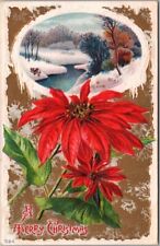 1910 MERRY CHRISTMAS Embossed Postcard Winter River Scene / Poinsettia Flower picture