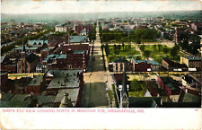 Bird's Eye View Looking North Meridian St Indianapolis IN Divided Postcard 1910s picture