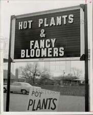 1971 Press Photo Pasadena nursery signs advertising blooming, hot and pot plants picture