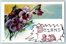 Doland South Dakota Postcard Greetings Glitter Flower Embossed c1910's Vintage picture