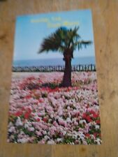 Vintage Postcard Looking Towards Ocean Park, Santa Monica, California picture