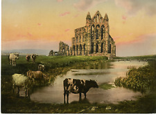Yorkshire. Whitby. The Abbey III.  PZ Vintage Photochromy, England Photochrome picture