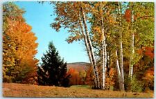 Postcard - A typical New England Fall scene picture
