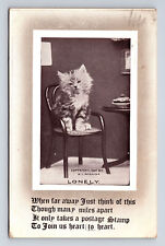 1912 Persian Cat Portrait Lonely Postcard-Related Postage Stamp Poem Postcard picture
