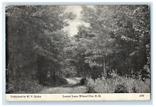 c1910 Lover's Lane, Wilmot Flat New Hampshire NH Antique Unposted Postcard picture