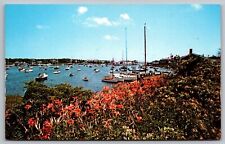 Wychmere Harbor Harwich Port Cape Cod Massachusetts Boats Vintage UNP Postcard picture