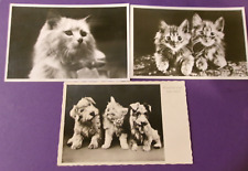 3 CUTE VINTAGE KITTY AND DOG POSTCARDS CRAFTS SCRAPBOOKING picture