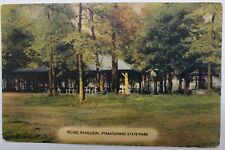 Jamestown, PA Pymatuning State Park Picnic Pavillion 1900s Antique Postcard S88 picture