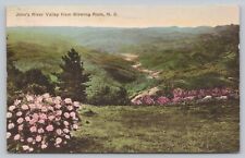 Postcard NC Blowing Rock John's River Valley Beautiful Scenic Hand Colored B8 picture