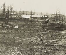 Chickamauga Battlefield Georgia 1863 New 8x10 US Civil War Photo picture