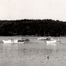 Vintage 1954 RPPC Cutler Sailboats Boats Washington County Postcard Maine picture
