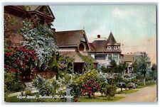 c1910s In Winter Cajon Street Houses Redlands California CA Unposted Postcard picture