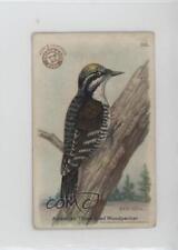 1922 Arm & Hammer Useful Birds of America Series 3 #30 0l4h picture