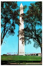 POSTCARD VTG Washington Monument DC Cherry Trees  picture