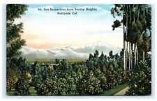 Mt. San Bernardino from Smiley Heights Redlands CA California Postcard A12 picture