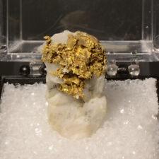 Crystallized Native Gold w/Quartz Collector Mineral Specimen - Oriental Mine, CA picture