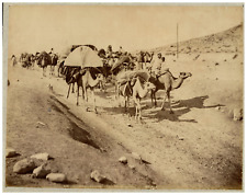 Algeria, Algerian Sahara, caravan on the move, photo. N.D. Vintage print, strip picture
