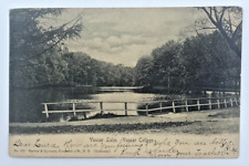 Poughkeepsie NY Vassar College Vintage Postcard Vassar Lake Undivided Posted picture