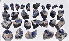 WHOLESALE Azurite in / on Stone Matrix from Congo  1.15 kg  29 pcs # 5379 picture