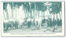 c1910's Party Of Homeseekers In Cabbage Palm Hummock Indian Prairie Postcard picture