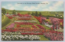 Terraces of the Hershey Rose Garden Hershey PA Pennsylvania 1951 Postcard picture
